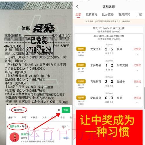 世界杯博彩平台的安全性分析与对比研究